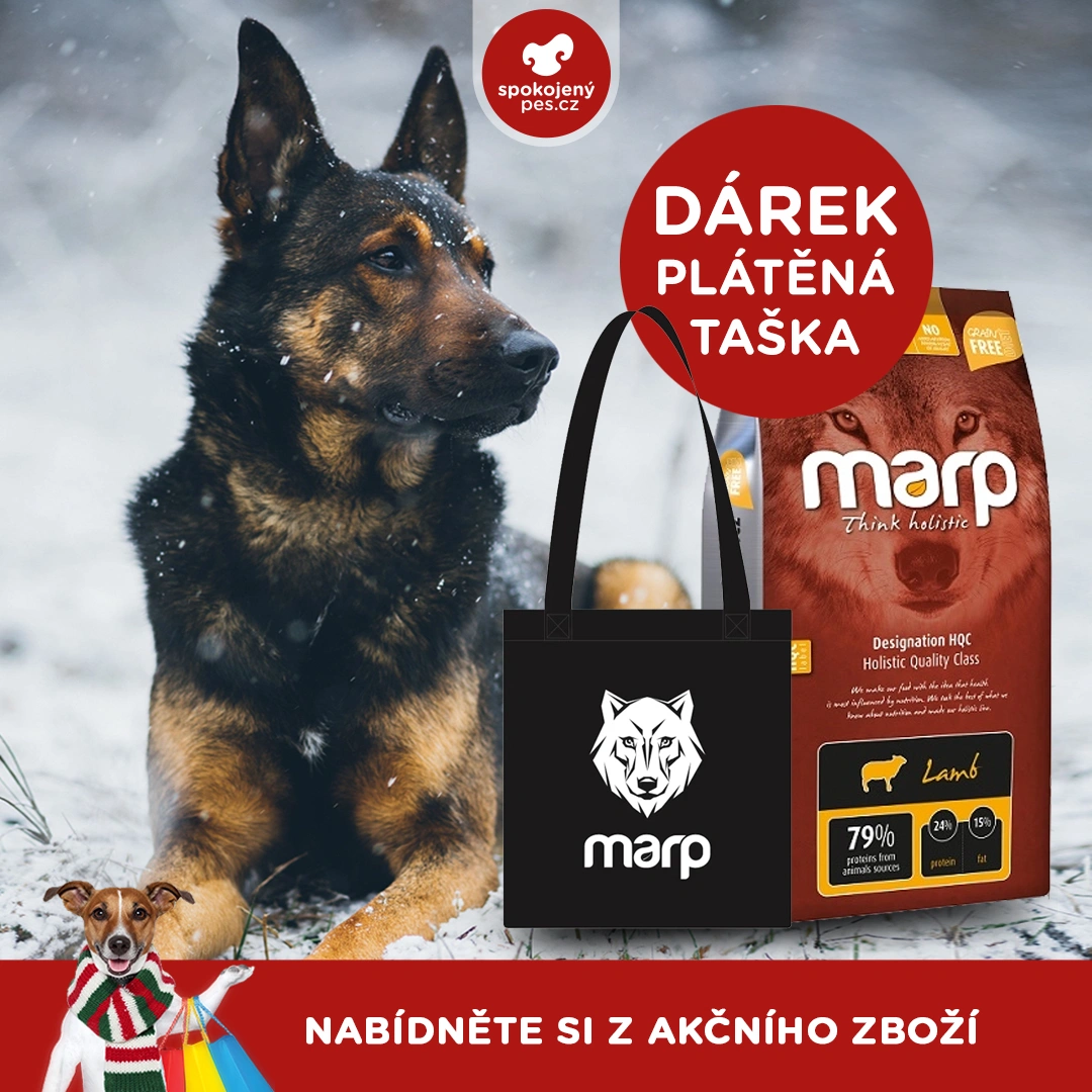 akční leden10.webp